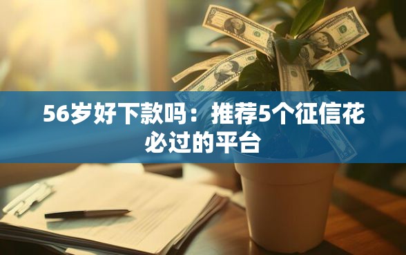 56岁好下款吗：推荐5个征信花必过的平台