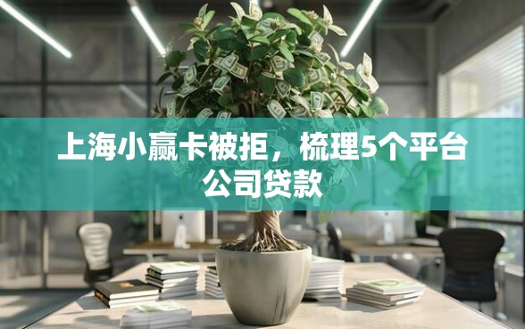 上海小赢卡被拒，梳理5个平台公司贷款