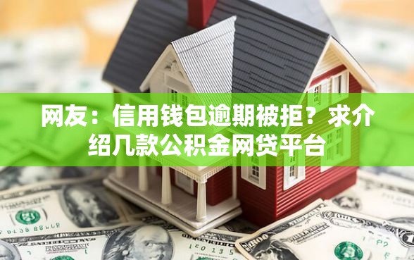 网友：信用钱包逾期被拒？求介绍几款公积金网贷平台