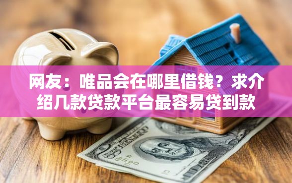 网友：唯品会在哪里借钱？求介绍几款贷款平台最容易贷到款