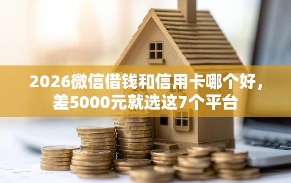 2026微信借钱和信用卡哪个好，差5000元就选这7个平台