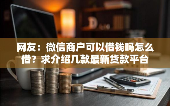 网友：微信商户可以借钱吗怎么借？求介绍几款最新货款平台