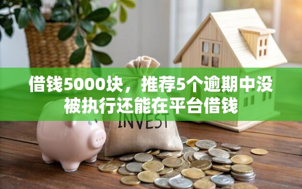 借钱5000块，推荐5个逾期中没被执行还能在平台借钱