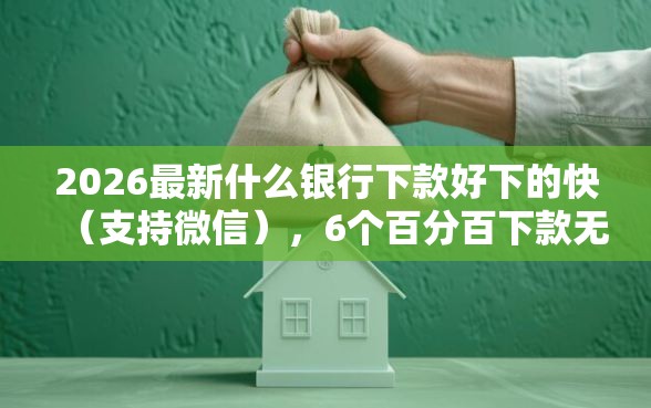 2026最新什么银行下款好下的快（支持微信），6个百分百下款无视黑白户口子无私分享