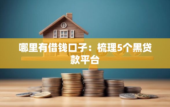 哪里有借钱口子：梳理5个黑贷款平台