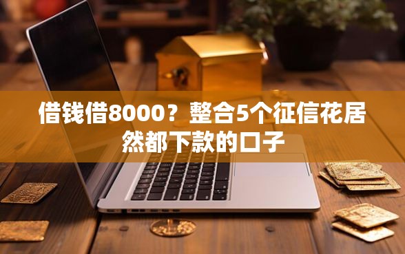 借钱借8000？整合5个征信花居然都下款的口子