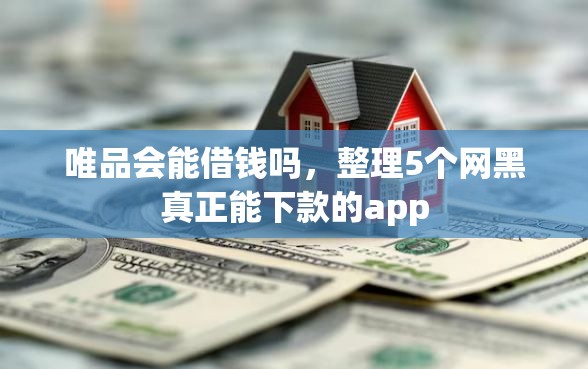 唯品会能借钱吗，整理5个网黑真正能下款的app