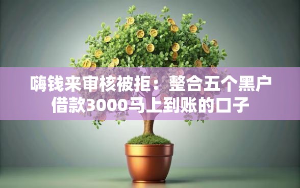 嗨钱来审核被拒：整合五个黑户借款3000马上到账的口子