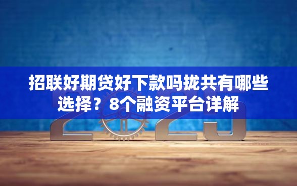 招联好期贷好下款吗拢共有哪些选择？8个融资平台详解