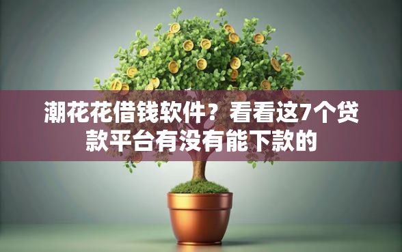 潮花花借钱软件？看看这7个贷款平台有没有能下款的