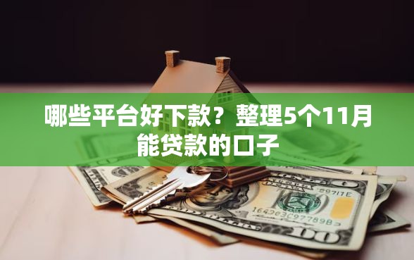 哪些平台好下款？整理5个11月能贷款的口子