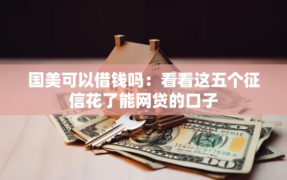 国美可以借钱吗：看看这五个征信花了能网贷的口子
