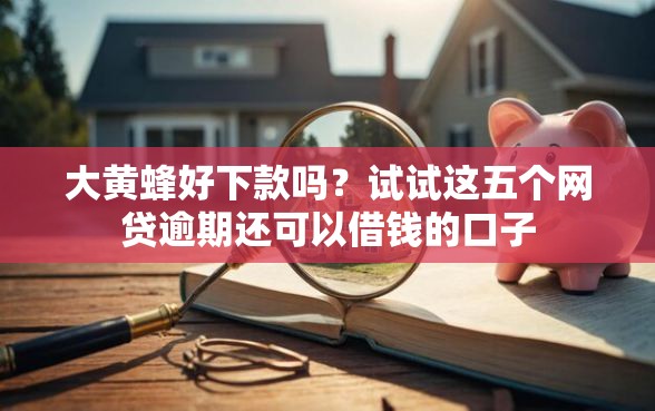 大黄蜂好下款吗？试试这五个网贷逾期还可以借钱的口子