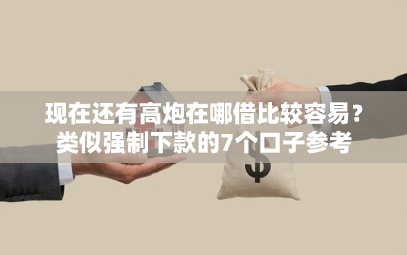 现在还有高炮在哪借比较容易？类似强制下款的7个口子参考