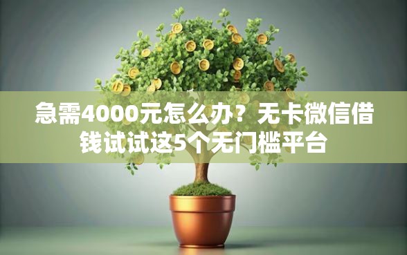 急需4000元怎么办？无卡微信借钱试试这5个无门槛平台