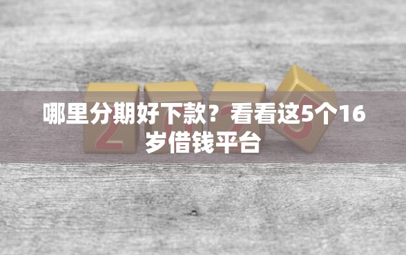 哪里分期好下款？看看这5个16岁借钱平台