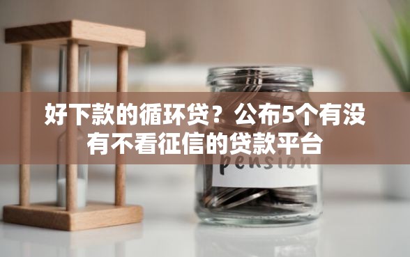 好下款的循环贷？公布5个有没有不看征信的贷款平台