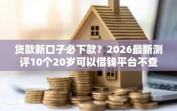 贷款新口子必下款？2026最新测评10个20岁可以借钱平台不查征信的平台