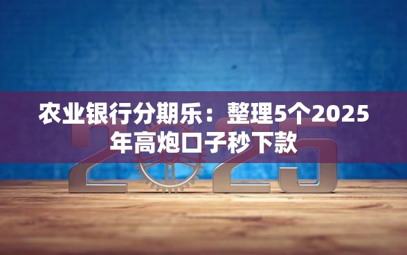 农业银行分期乐：整理5个2025年高炮口子秒下款