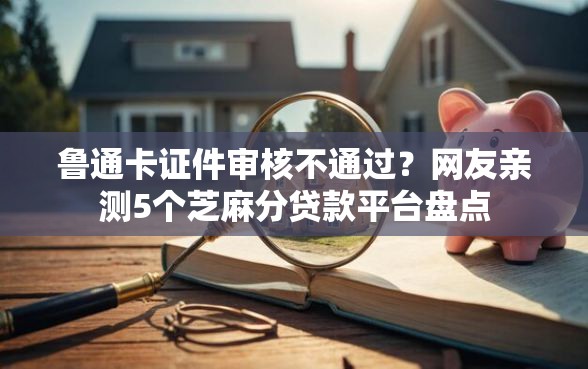鲁通卡证件审核不通过？网友亲测5个芝麻分贷款平台盘点