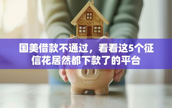 国美借款不通过，看看这5个征信花居然都下款了的平台