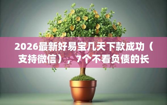 2026最新好易宝几天下款成功（支持微信），7个不看负债的长期网贷app无私分享