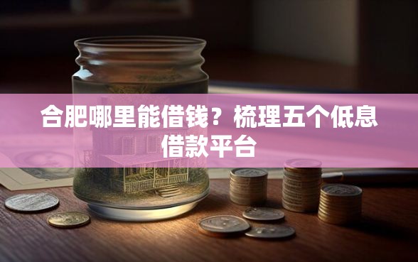合肥哪里能借钱？梳理五个低息借款平台