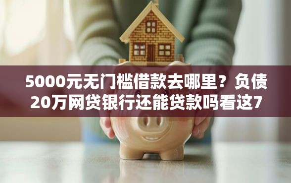 5000元无门槛借款去哪里？负债20万网贷银行还能贷款吗看这7个平台