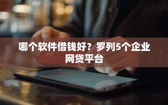 哪个软件借钱好？罗列5个企业网贷平台