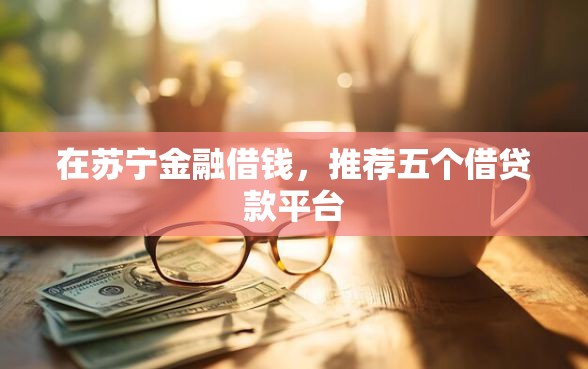 在苏宁金融借钱，推荐五个借贷款平台