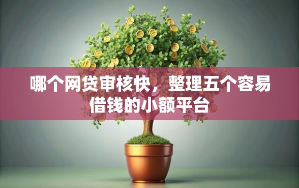 哪个网贷审核快，整理五个容易借钱的小额平台
