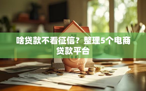 啥贷款不看征信？整理5个电商贷款平台