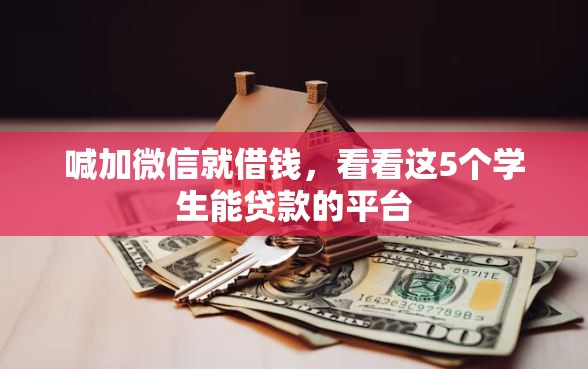 喊加微信就借钱，看看这5个学生能贷款的平台