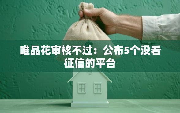 唯品花审核不过：公布5个没看征信的平台
