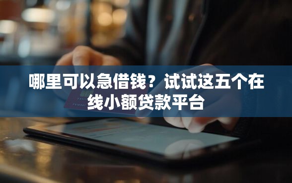 哪里可以急借钱？试试这五个在线小额贷款平台