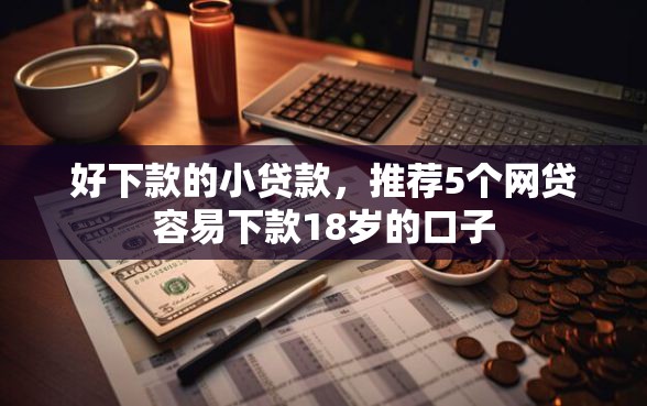 好下款的小贷款，推荐5个网贷容易下款18岁的口子