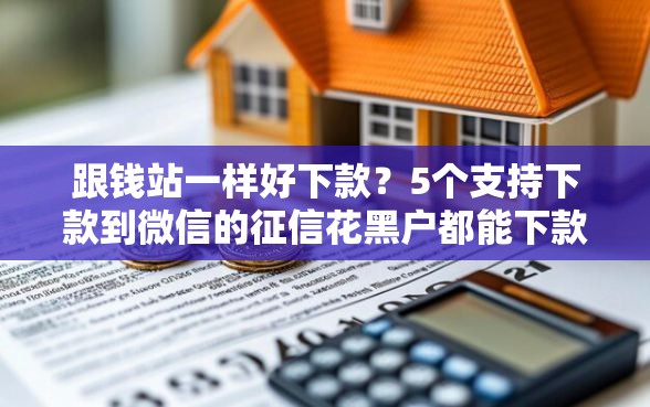 跟钱站一样好下款？5个支持下款到微信的征信花黑户都能下款的平台