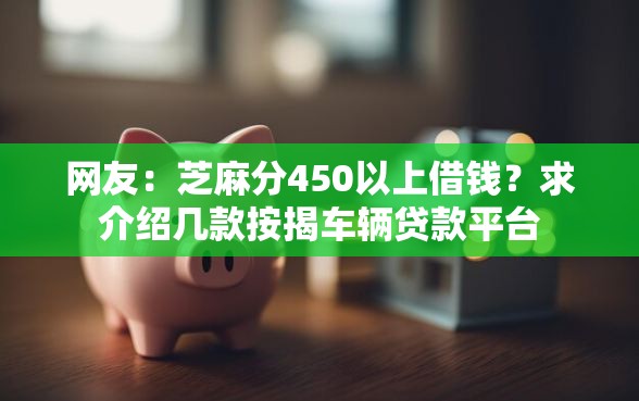 网友：芝麻分450以上借钱？求介绍几款按揭车辆贷款平台