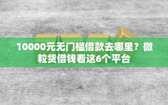 10000元无门槛借款去哪里？微粒货借钱看这6个平台
