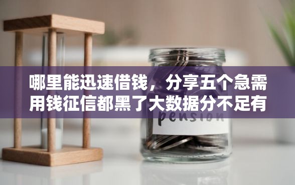 哪里能迅速借钱，分享五个急需用钱征信都黑了大数据分不足有没有平台能借
