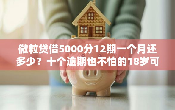 微粒贷借5000分12期一个月还多少？十个逾期也不怕的18岁可以借钱的平台
