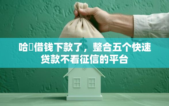 哈啰借钱下款了，整合五个快速贷款不看征信的平台