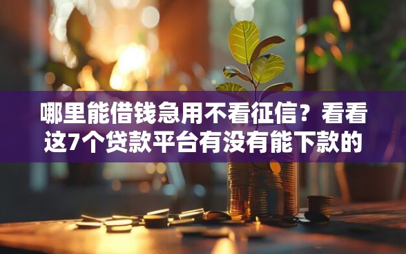 哪里能借钱急用不看征信？看看这7个贷款平台有没有能下款的