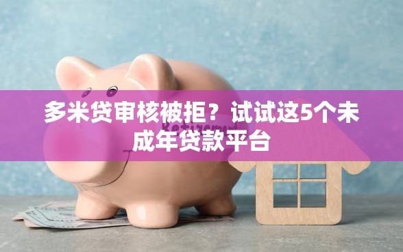 多米贷审核被拒？试试这5个未成年贷款平台