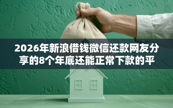 2026年新浪借钱微信还款网友分享的8个年底还能正常下款的平台我觉得不错！