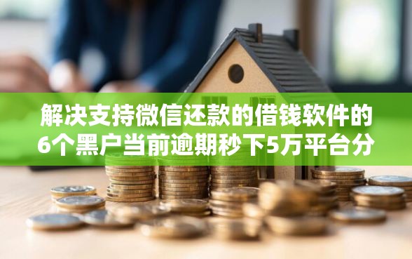 解决支持微信还款的借钱软件的6个黑户当前逾期秒下5万平台分享