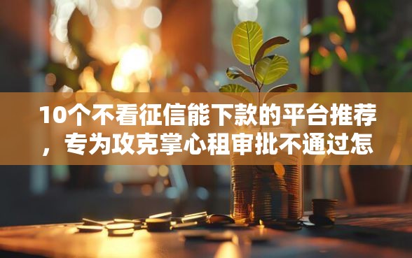 10个不看征信能下款的平台推荐，专为攻克掌心租审批不通过怎么办难题