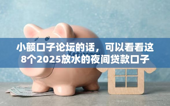 小额口子论坛的话，可以看看这8个2025放水的夜间贷款口子