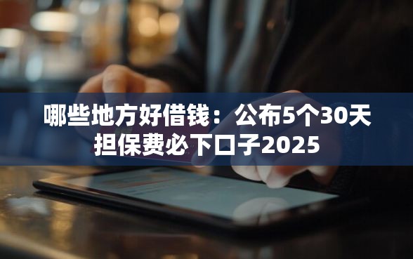 哪些地方好借钱：公布5个30天担保费必下口子2025
