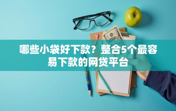 哪些小袋好下款？整合5个最容易下款的网贷平台